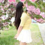 ヒメ日記 2026/05/08 17:26 投稿 にこ The White