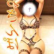 ヒメ日記 2026/05/14 20:43 投稿 にこ The White