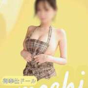 ヒメ日記 2025/05/19 08:45 投稿 おもち The White