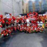 ヒメ日記 2025/06/01 15:45 投稿 おもち The White