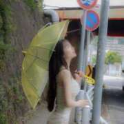 ヒメ日記 2025/06/08 07:15 投稿 おもち The White