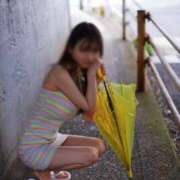 ヒメ日記 2025/06/11 08:36 投稿 おもち The White