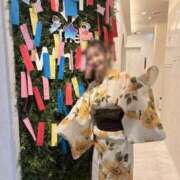 ヒメ日記 2025/07/15 18:02 投稿 おもち The White