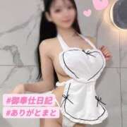 ヒメ日記 2025/07/26 20:45 投稿 おもち The White