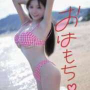 ヒメ日記 2025/07/29 07:45 投稿 おもち The White