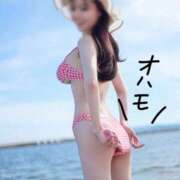 ヒメ日記 2025/08/08 07:30 投稿 おもち The White