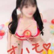 ヒメ日記 2025/08/19 07:45 投稿 おもち The White