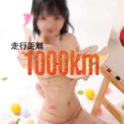 ヒメ日記 2025/08/22 16:32 投稿 おもち The White