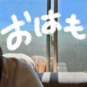 ヒメ日記 2025/09/08 12:36 投稿 おもち The White