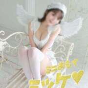 ヒメ日記 2025/09/13 15:29 投稿 おもち The White