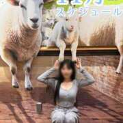 ヒメ日記 2025/10/20 12:04 投稿 おもち The White