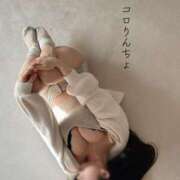 ヒメ日記 2025/10/28 18:48 投稿 おもち The White