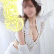 ヒメ日記 2025/11/20 07:15 投稿 おもち The White