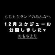 ヒメ日記 2025/11/20 20:00 投稿 おもち The White