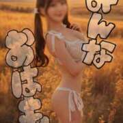 ヒメ日記 2025/11/21 07:28 投稿 おもち The White