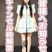 ヒメ日記 2025/12/17 11:16 投稿 おもち The White