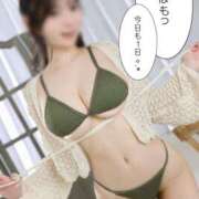 ヒメ日記 2026/02/22 11:41 投稿 おもち The White