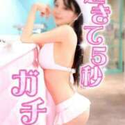 ヒメ日記 2026/04/04 14:02 投稿 おもち The White