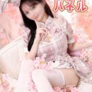 ヒメ日記 2026/04/08 20:15 投稿 おもち The White