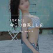 ヒメ日記 2026/04/20 09:38 投稿 おもち The White