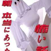 ヒメ日記 2026/05/05 15:42 投稿 おもち The White