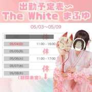 ヒメ日記 2025/05/04 10:27 投稿 まふゆ The White