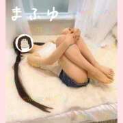 ヒメ日記 2025/05/21 20:45 投稿 まふゆ The White