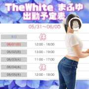 ヒメ日記 2025/05/31 22:39 投稿 まふゆ The White