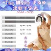 ヒメ日記 2025/06/09 08:54 投稿 まふゆ The White