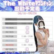 ヒメ日記 2025/06/18 23:36 投稿 まふゆ The White