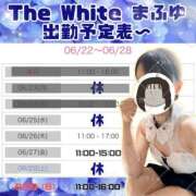 ヒメ日記 2025/06/24 21:25 投稿 まふゆ The White