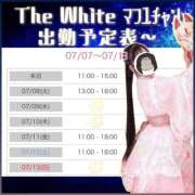 ヒメ日記 2025/07/07 10:50 投稿 まふゆ The White