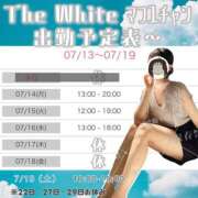 ヒメ日記 2025/07/14 07:09 投稿 まふゆ The White