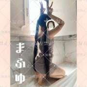 ヒメ日記 2025/07/27 08:57 投稿 まふゆ The White