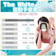 ヒメ日記 2025/08/04 23:57 投稿 まふゆ The White