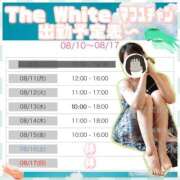ヒメ日記 2025/08/11 23:58 投稿 まふゆ The White