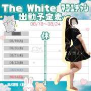 ヒメ日記 2025/08/20 08:22 投稿 まふゆ The White