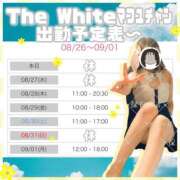 ヒメ日記 2025/08/26 23:58 投稿 まふゆ The White
