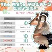 ヒメ日記 2025/09/16 23:57 投稿 まふゆ The White