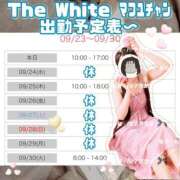 ヒメ日記 2025/09/23 23:57 投稿 まふゆ The White