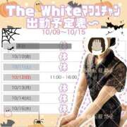 ヒメ日記 2025/10/10 07:01 投稿 まふゆ The White