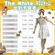 ヒメ日記 2025/11/12 23:57 投稿 まふゆ The White