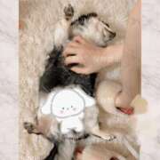 ヒメ日記 2026/01/18 22:07 投稿 まふゆ The White