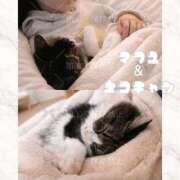 ヒメ日記 2026/01/31 10:57 投稿 まふゆ The White