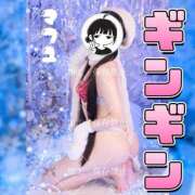 ヒメ日記 2026/03/03 23:45 投稿 まふゆ The White