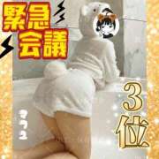ヒメ日記 2026/03/21 10:13 投稿 まふゆ The White