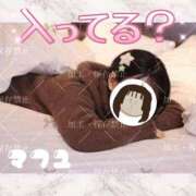 ヒメ日記 2026/03/28 23:55 投稿 まふゆ The White