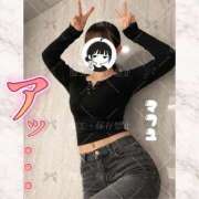 ヒメ日記 2026/03/29 08:45 投稿 まふゆ The White