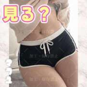 ヒメ日記 2026/04/17 23:59 投稿 まふゆ The White