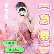 ヒメ日記 2026/05/03 19:01 投稿 まふゆ The White